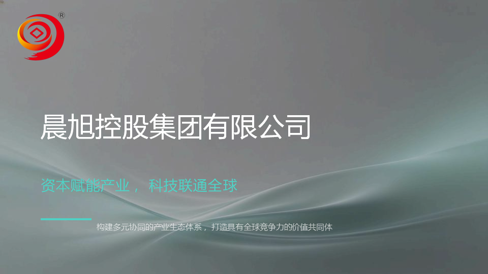 晨旭控股集团有限公司简介_01.png